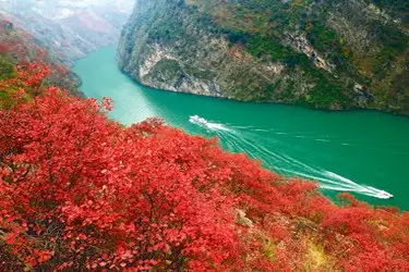 Yangtze River Cruise at the Three Gorges with autumn foliage highlighting China’s dramatic natural scenery.