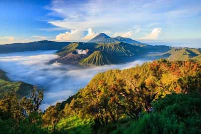 Indonesia & Bali Travel