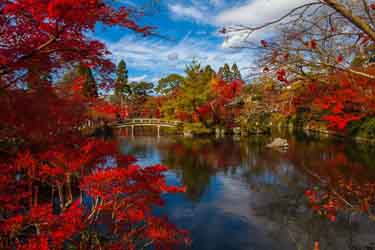 Autumn Leaves, Kyoto Japan tours