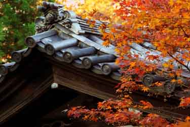 Gotokuj Temple, Kyoto Japan Tours