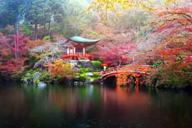 Autumn in Kyoto