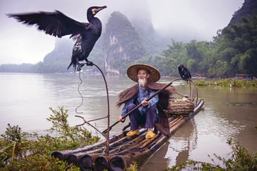 Comorant Fisherman, Guilin China Vacations