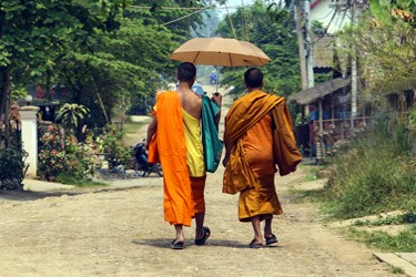 Buddhist Monks, Laos vacations