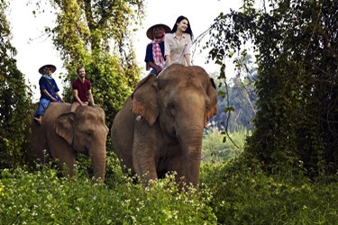 Elephant Trekking, Chiang Mai Tour