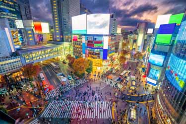 Shibuya, Japan food tours