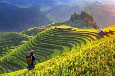 Sapa Tour, Private Vietnam Travel