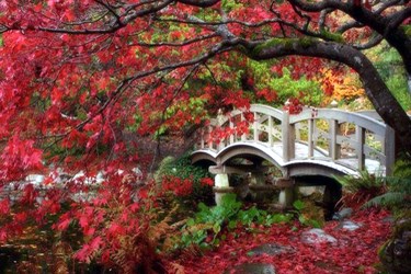 Kyoto, Japan Travel Package