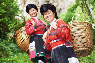 Yao Hilltribe, Thailand active travel package