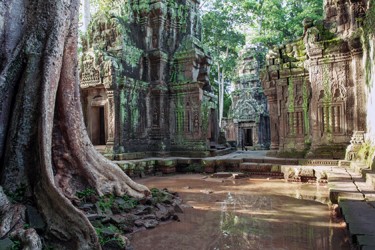 Ta Prohm Jungle Temple, Private Cambodia Vacation Package
