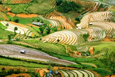 Rice terraces, private Sapa tours and vacation packages