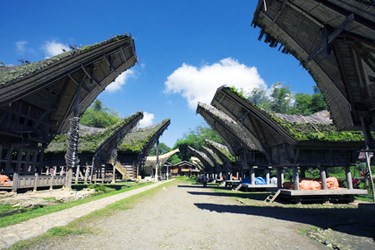 Boat Houses, Tanah Toraja Tours