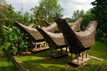Tanah Toraja, Indonesia Tours and vacation packages