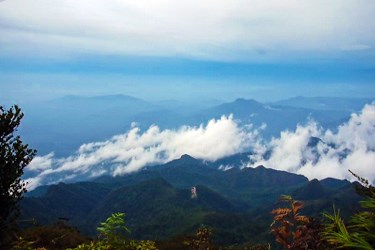 Taman Negara, Malaysia adventure travel