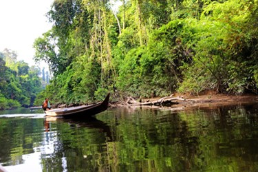 Taman Negara, Malaysia adventure tours and active vacations