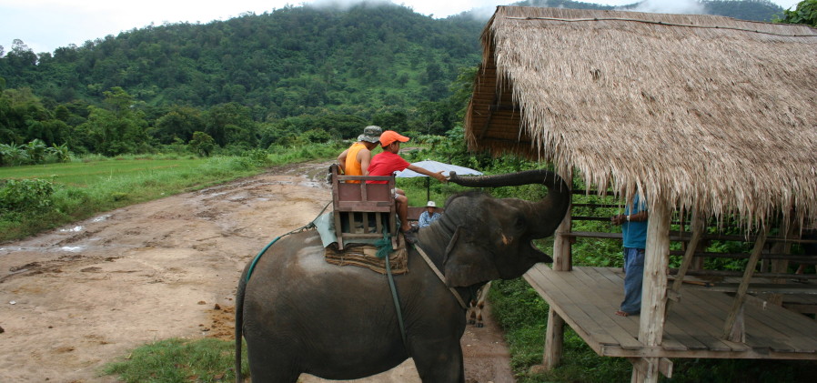 Elephant Riding, Asia Family Holidays