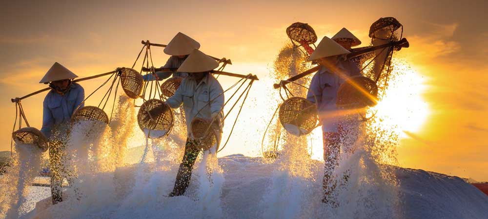 Salt Harvest, Vietnam Travel