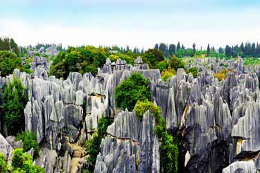 Stone Forest in Kunming with towering limestone formations and winding pathways, showcasing Yunnan’s unique karst landscape.