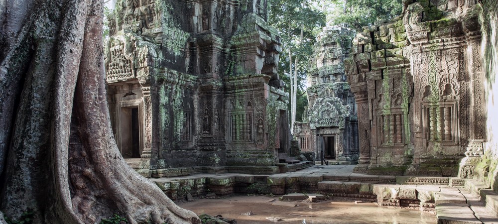 Ta Prohm Jungle Temple, Siem Reap Cambodia Tours