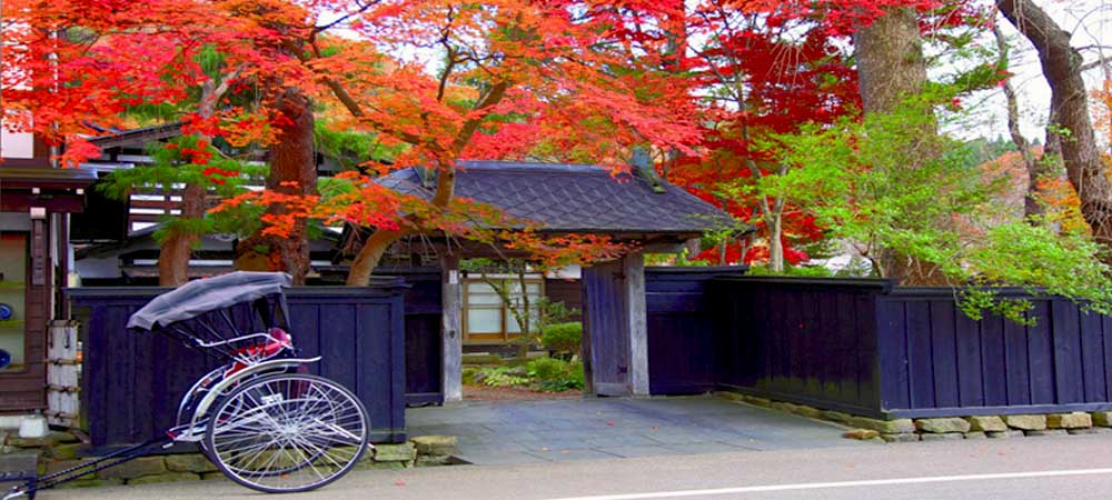 Kyoto in Autumn Honeymoon