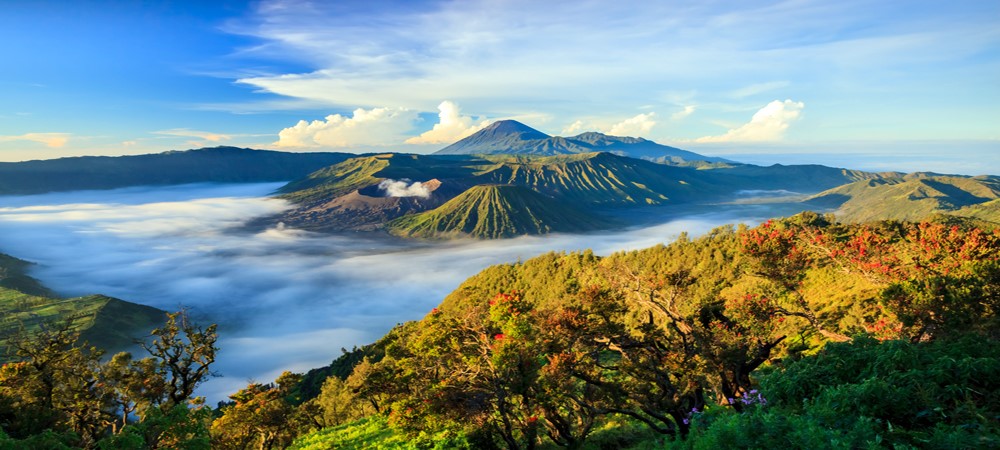 Mount Bromo, Bali and Indonesia adventure travel