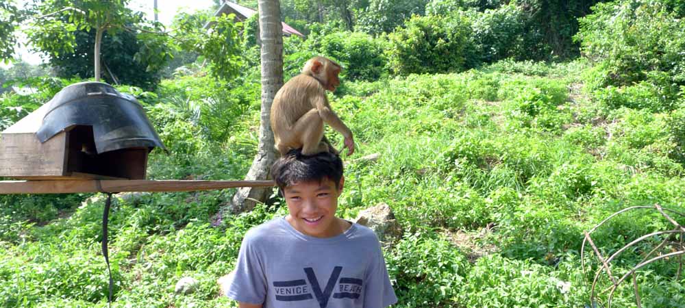 Local Thai Muslim Villages, Koh Yao Yai holidays