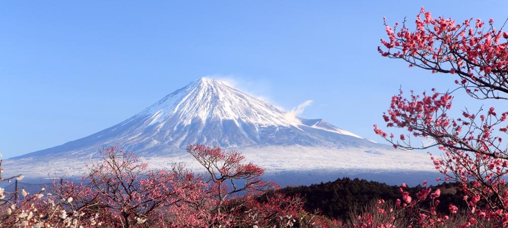 Hiking Mt Fuji, Japan active tours