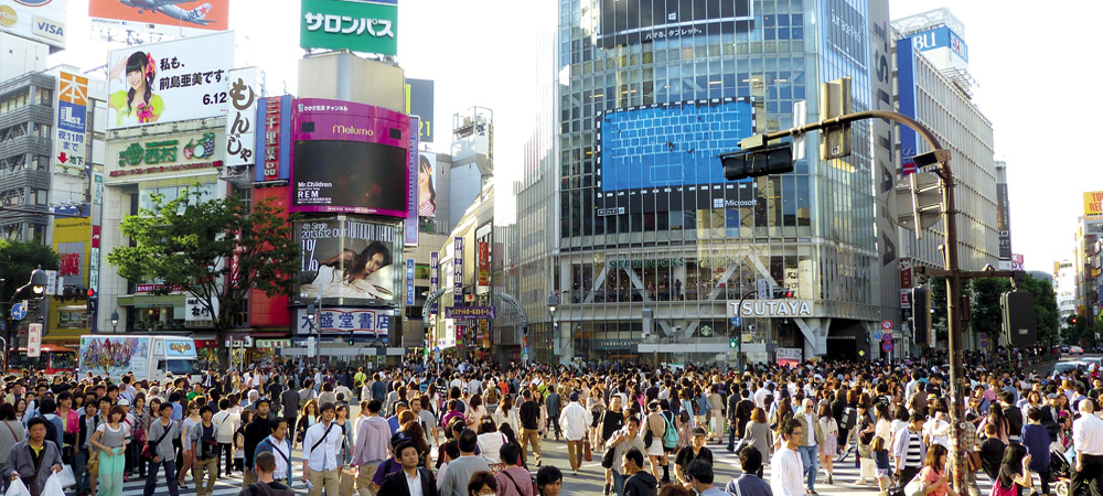 Shinjuku, Tokyo food tours, nightlife and shopping