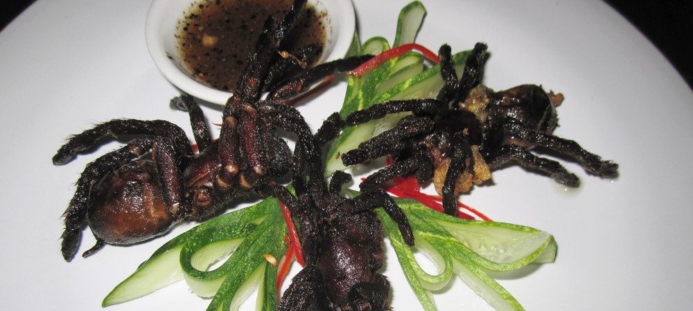 Fried Tarantula, Cambodian Food travel