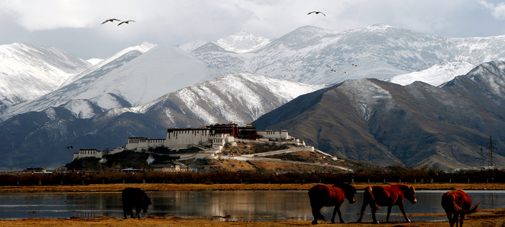 Potala Palace, Lhasa Tibet tours