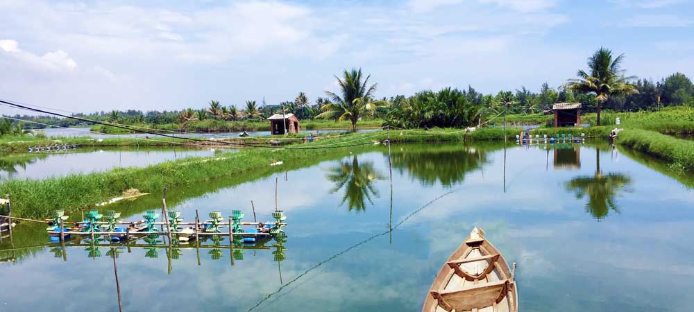 Fish Farm, Mekong Delta tours