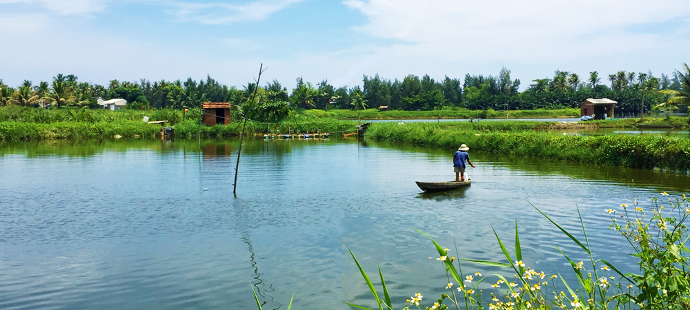 Farmer at Work, Mekong Delta Vietnam