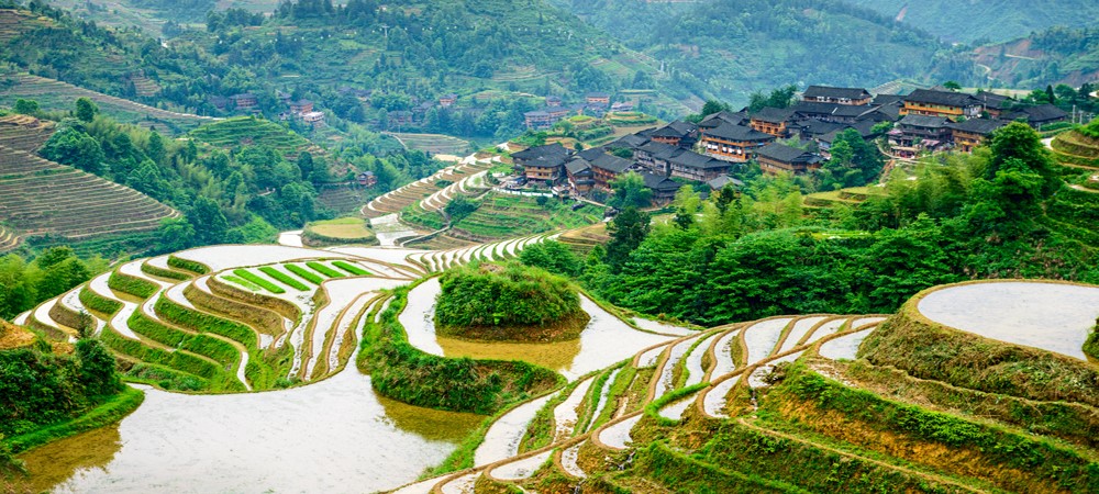 Longshen Rice Terraces