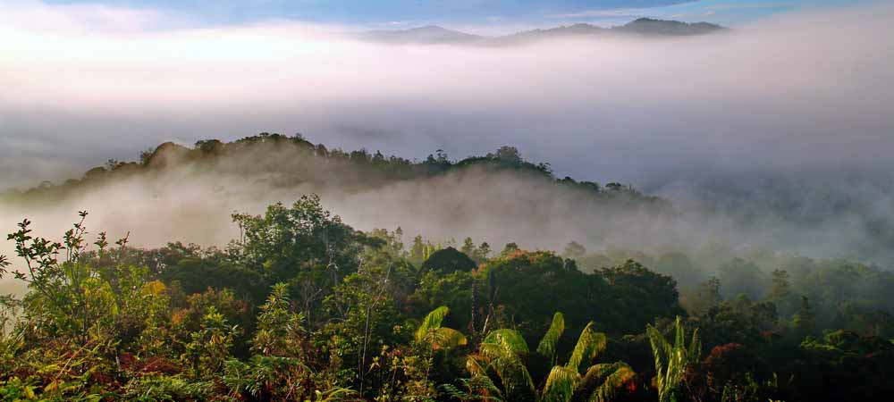 Malaysia Natural Beauty