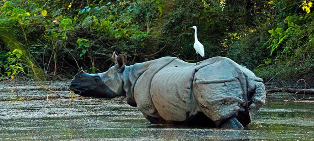 Nepal Travel