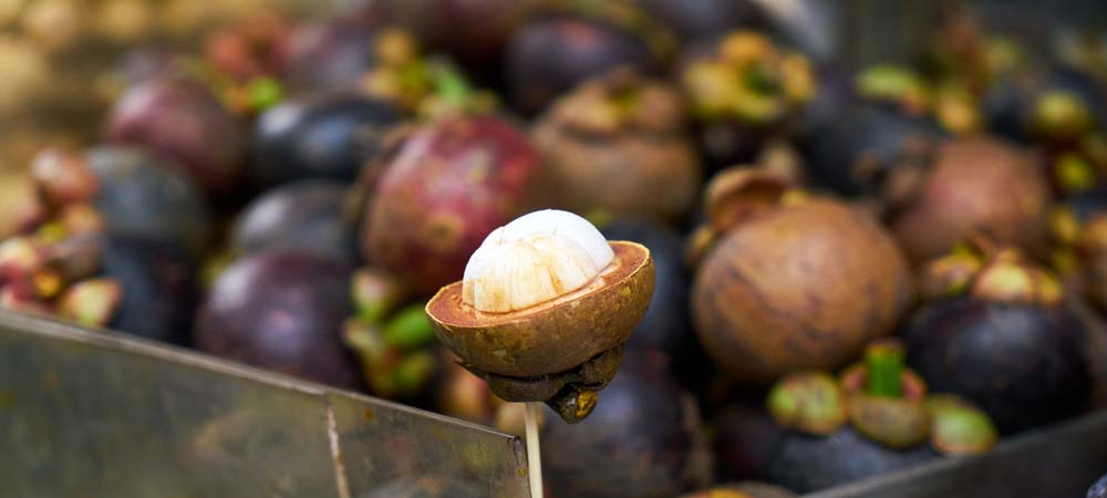 Mangosteen, Thailand Culinary Food tour