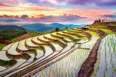 Rice Terraces, Southeast Asia tours and vacation packages