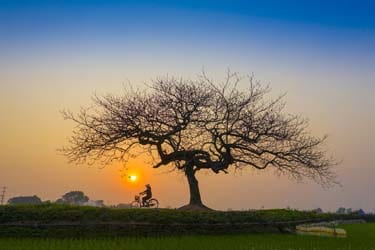 Vietnam Cycling and Biking Tour in Mekong Delta