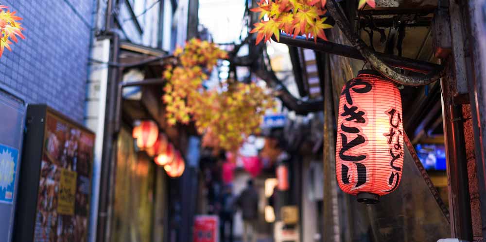 Shinjuku, Tokyo Food and Nightlife Tour