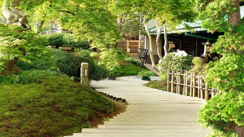 Takayama_Hidatei_Hanaougi2