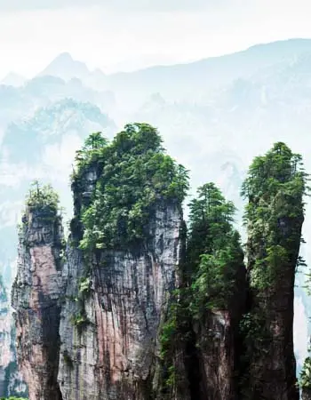 Sandstone pillars of Zhangjiajie rising from mist, showcasing the dramatic vertical landscapes of central China.