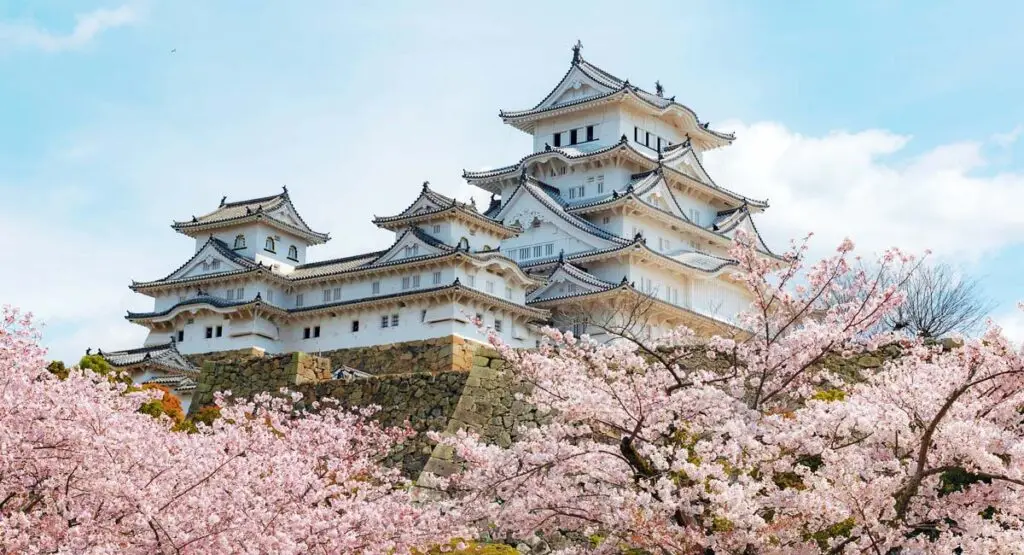 Himeji Castle rising above blooming cherry blossoms, showcasing its white multi-tiered architecture against a clear sky.
