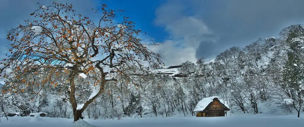 Snow-covered rural landscape in Takayama Japan featuring a lone farmhouse beneath a large leafless tree, surrounded by a forested hillside under a partly cloudy sky.