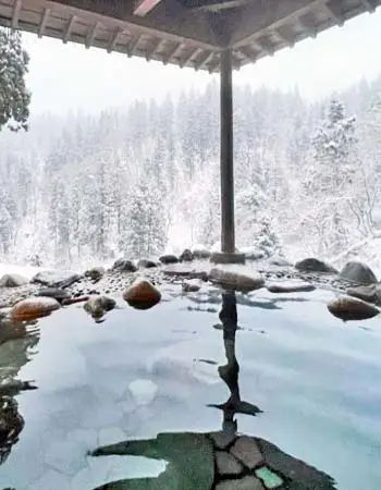 Yudanaka, explore this onsen town and observe snow monkeys at play in a serene mountain setting