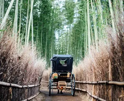 Rickshaw traveling through the Arashiyama Bamboo Forest in Kyoto, Japan