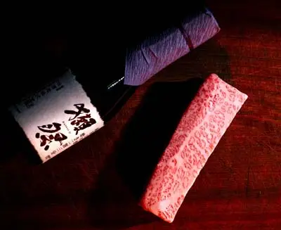 Japanese sake and premium Wagyu beef arranged for a refined tasting, a signature culinary moment on Japan tours