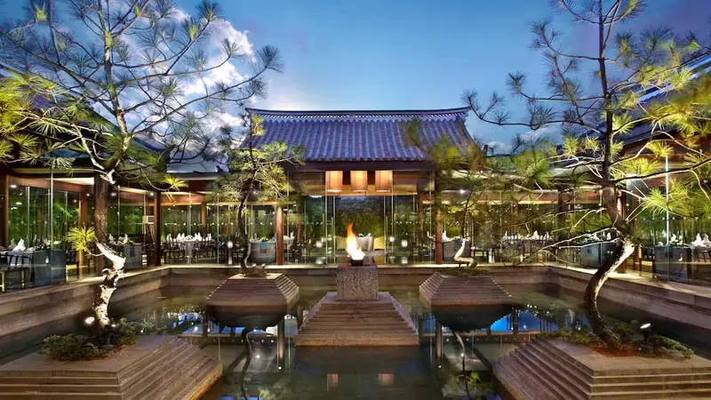 Lijiang - Banyan Tree image