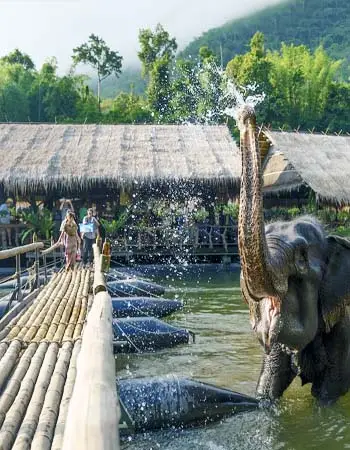 Travelers watching Elephant bathing in the River Kwai at an ethical sanctuary during a family vacation in Thailand.