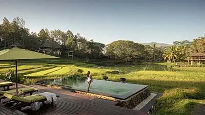 Thailand Hotels image