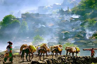 Enchanting Tibet & Yangtze image