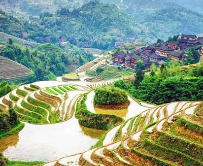 Longji Rice Terraces winding through the hills of Guangxi, China